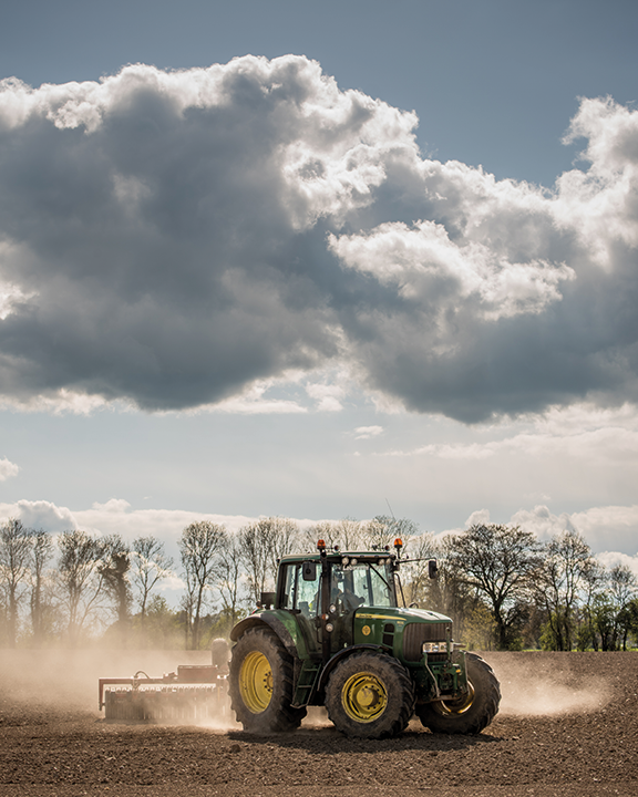 I75B2915Noel Byrne-Lambs-Louth-1