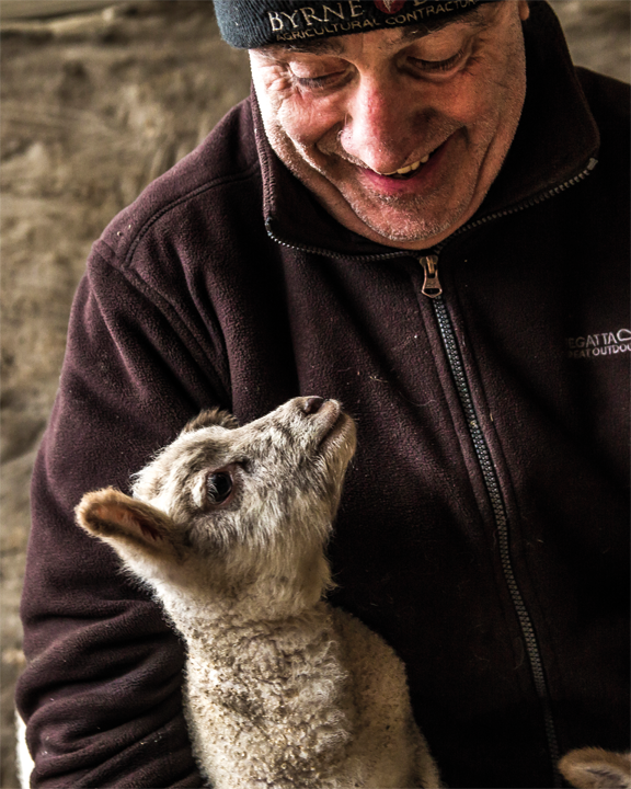 I75B2915Noel Byrne-Lambs-Louth