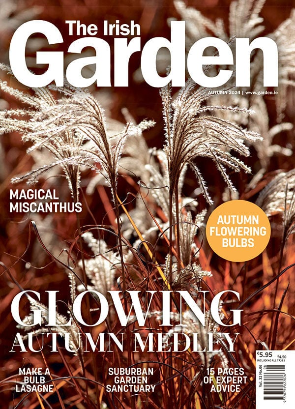 TIG_cover_autumn